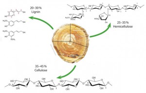 lignin_wood
