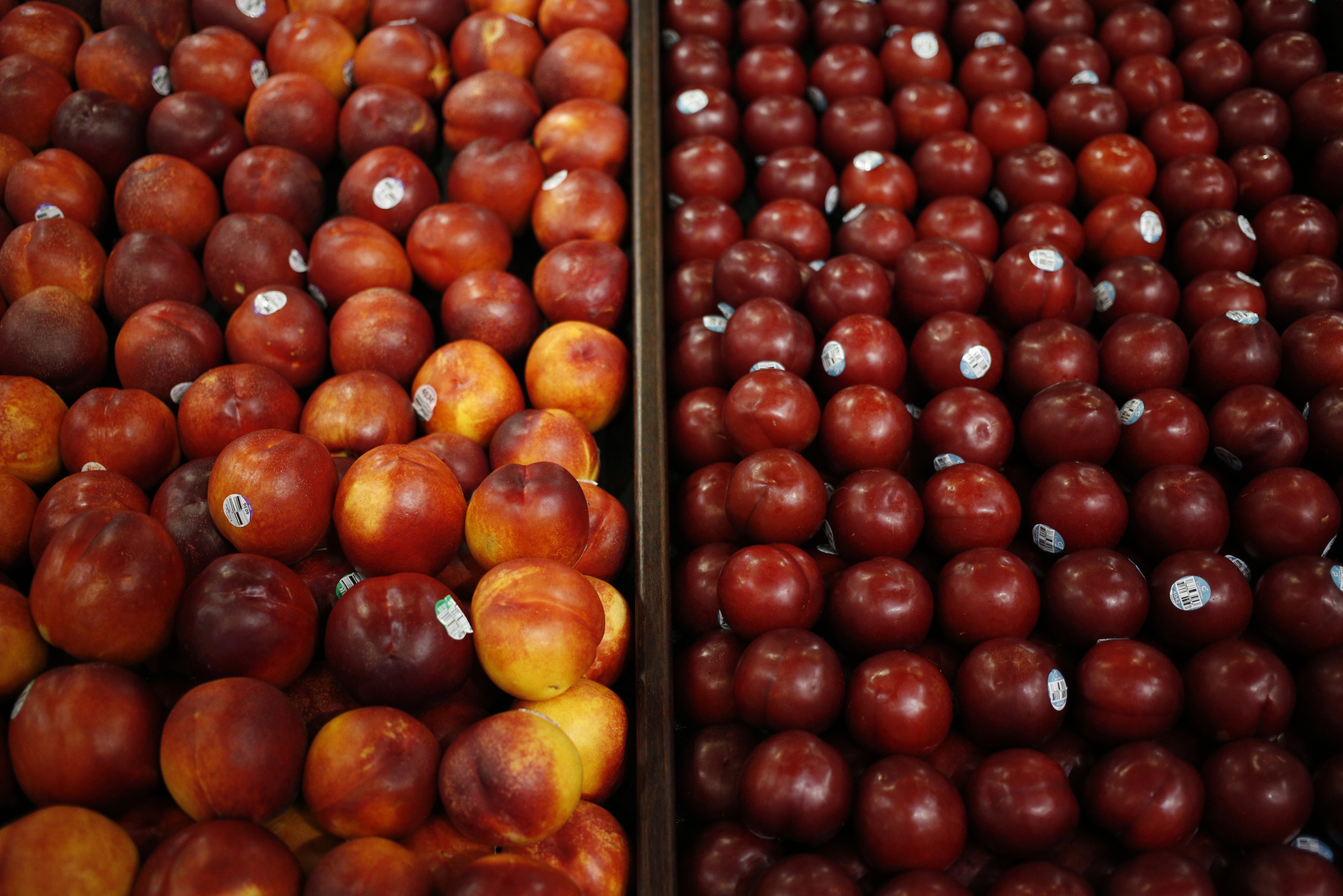 Nectarines are displayed for sale inside a Kroger Co. grocery store in Louisville, Kentucky, U.S., on Tuesday, Feb. 7, 2017. Photographer: Luke Sharrett/Bloomberg